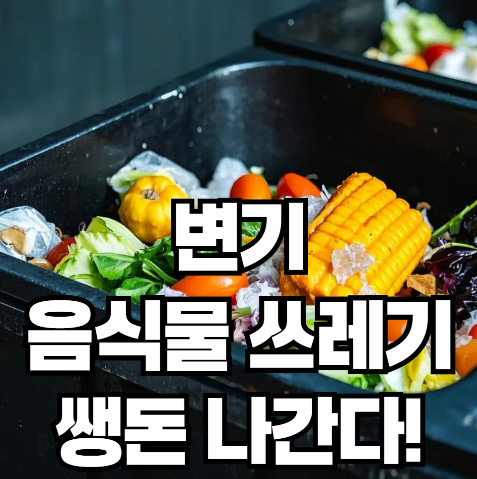 변기에 음식물 쓰레기, 절대 안 되는 이유