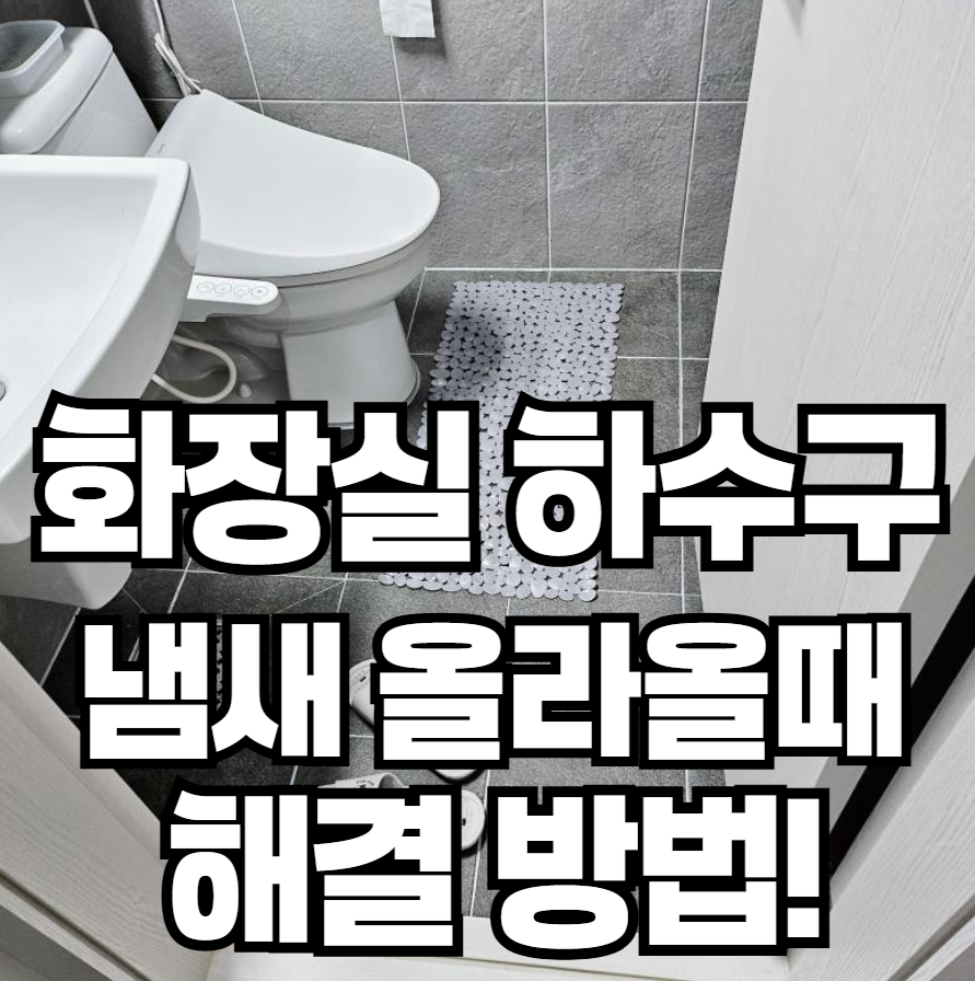 건물 1층 화장실에서 하수구 냄새가 올라오는 이유